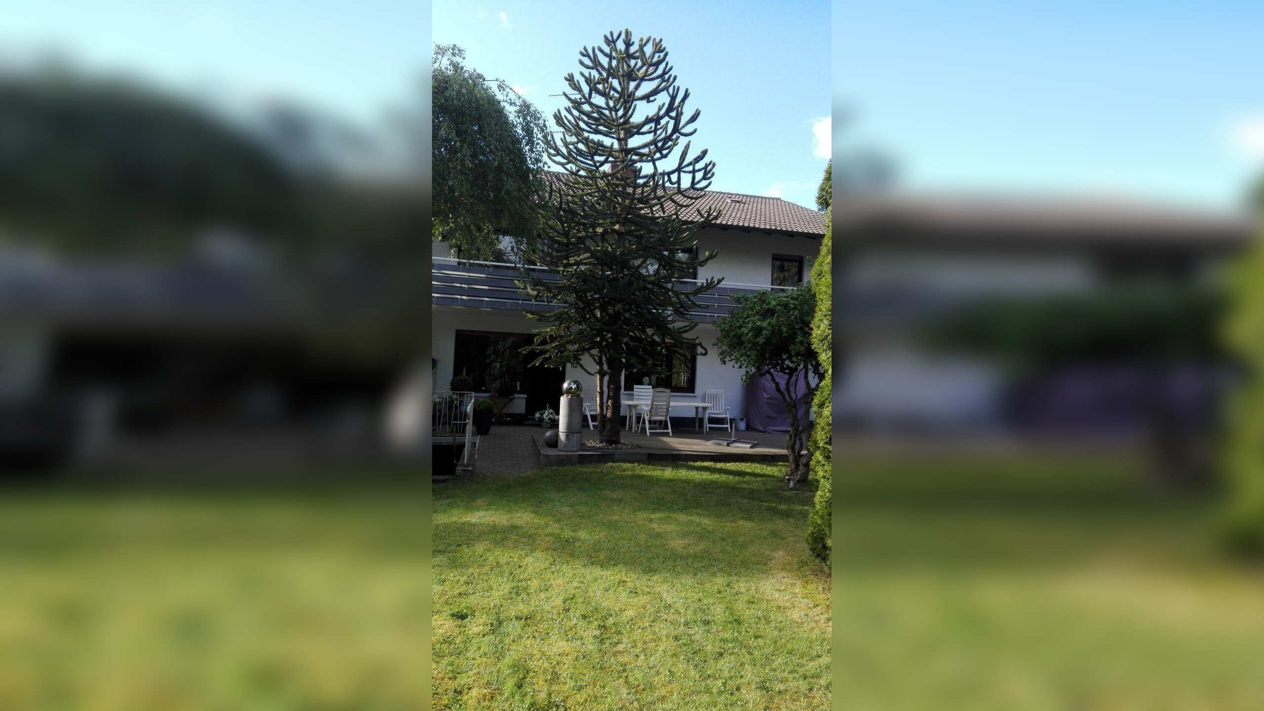 image-70126942