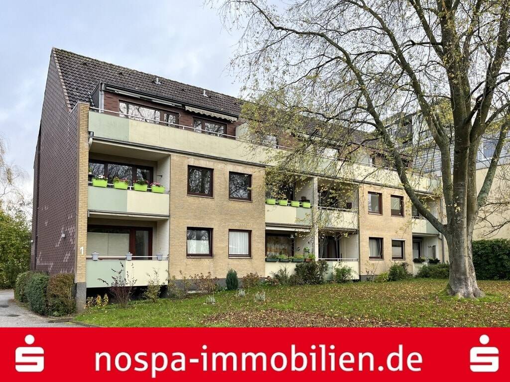 image-57378501