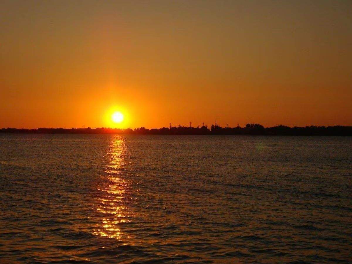 image-70139691