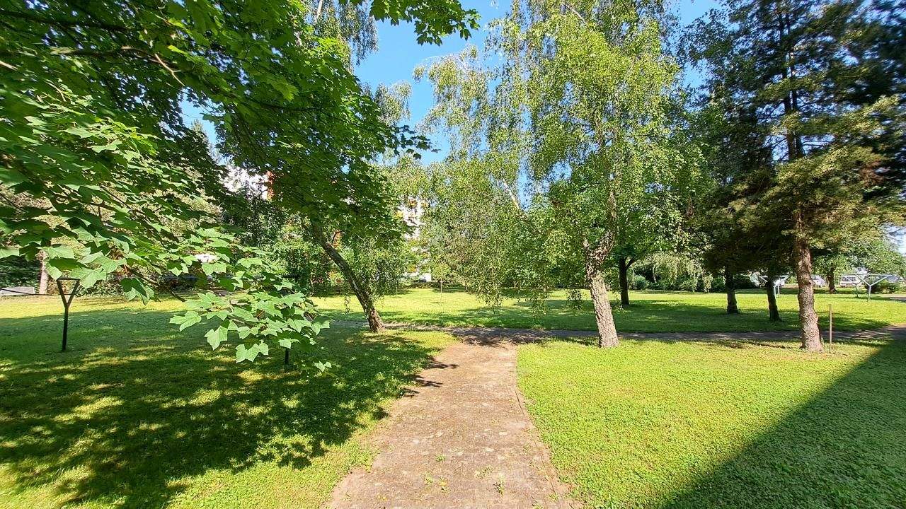 image-70141855