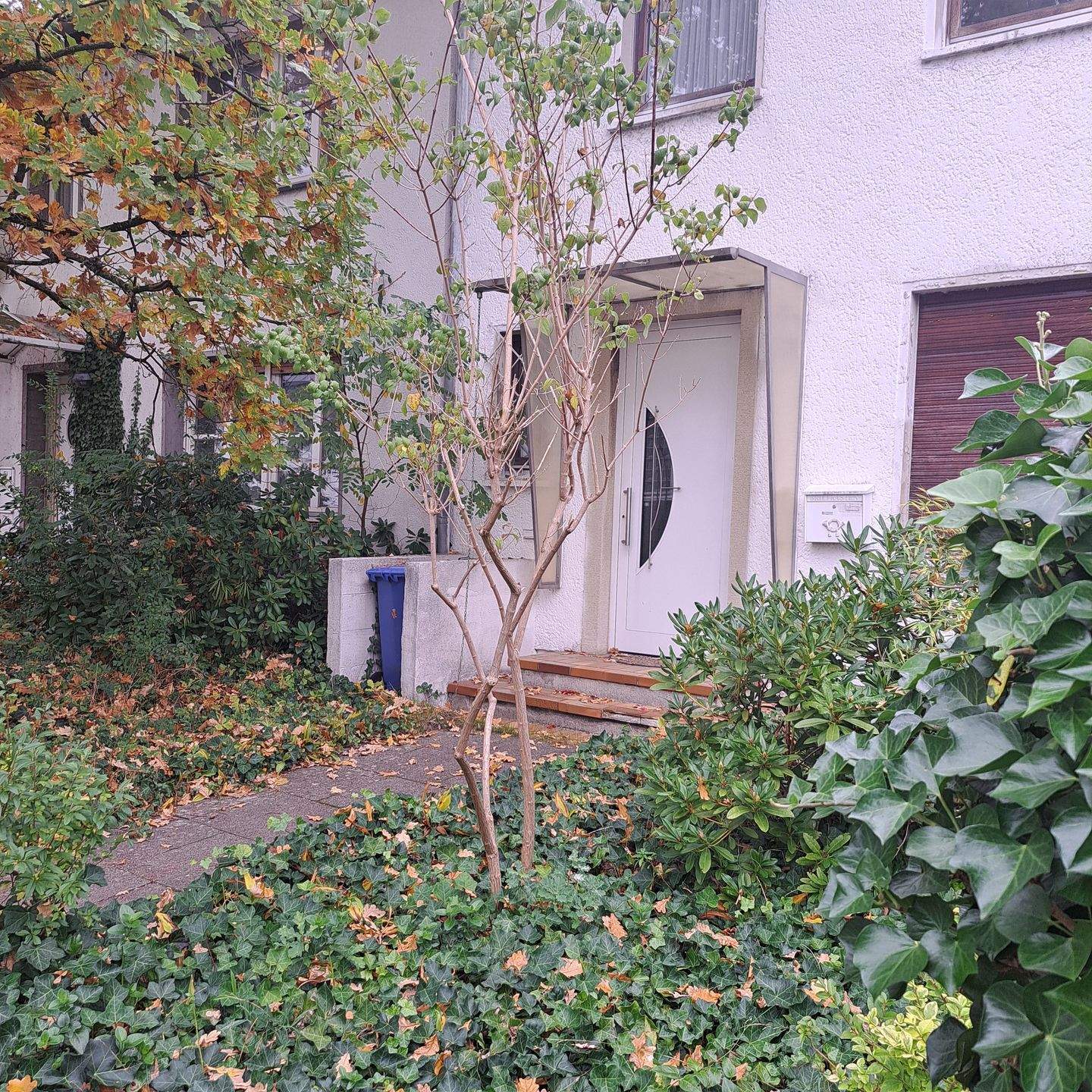image-70145507
