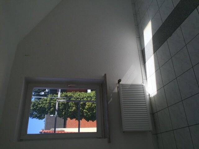 image-70146461