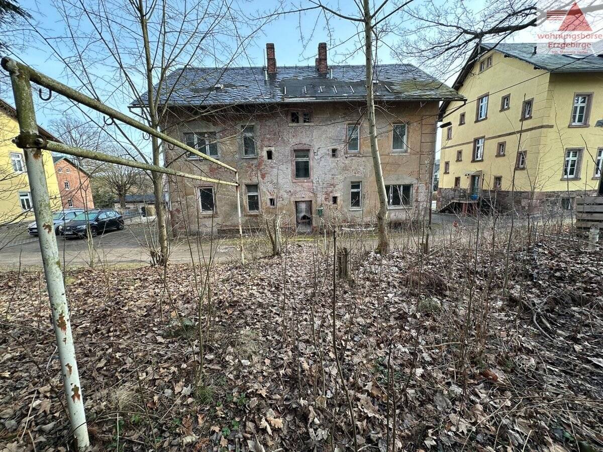 image-56548009