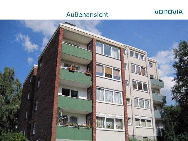 image-70155713