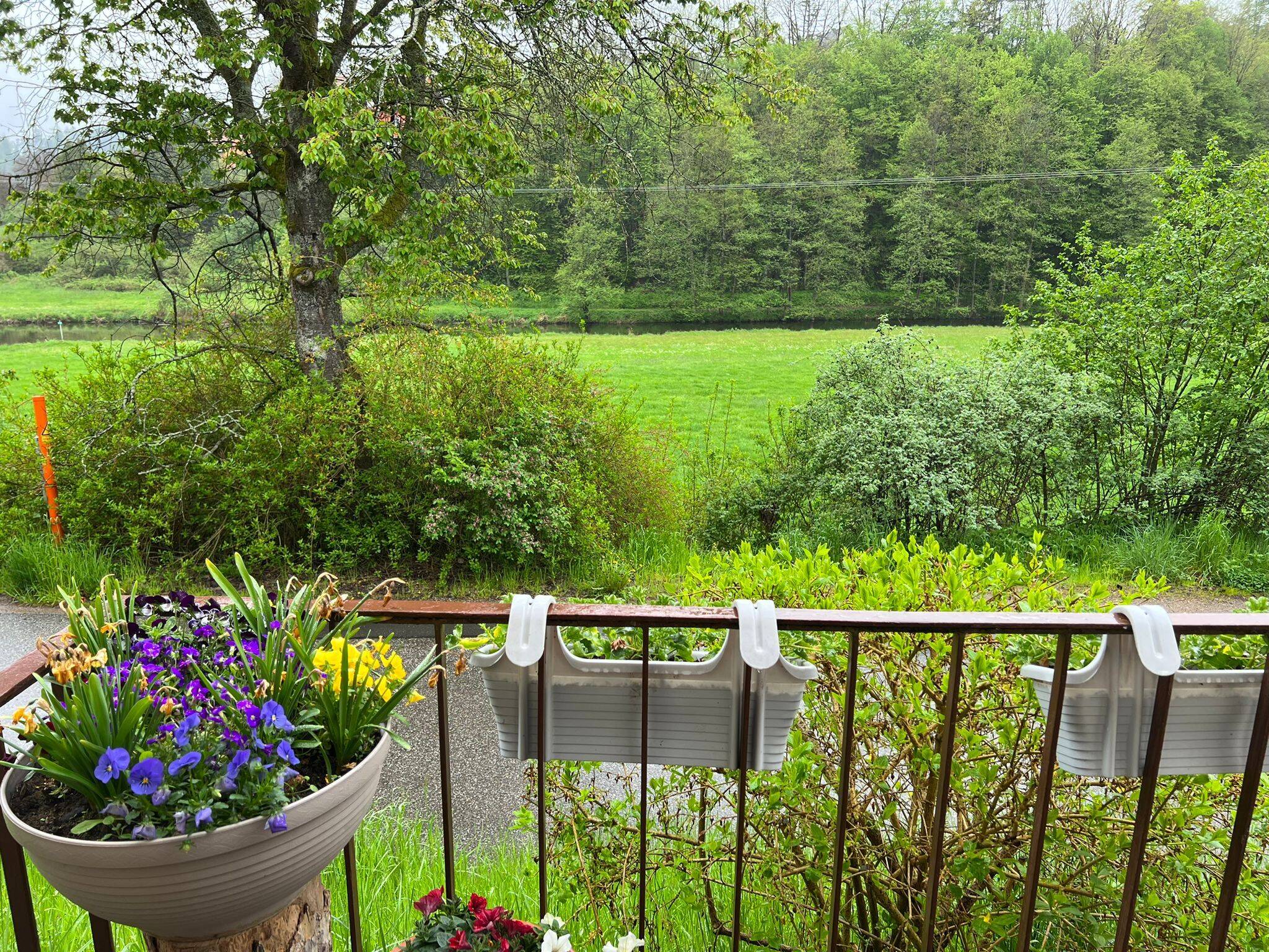 image-56911736