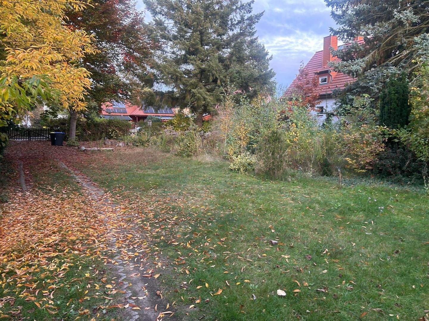 image-70166137