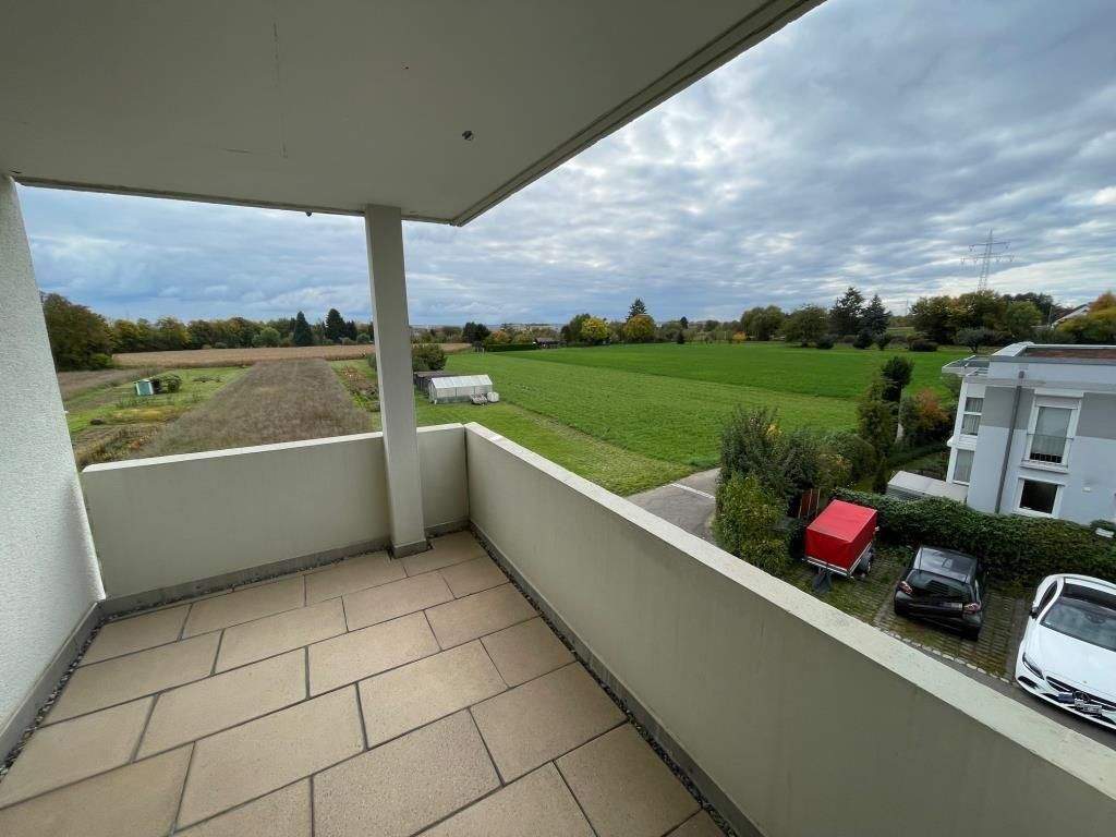 image-70168312