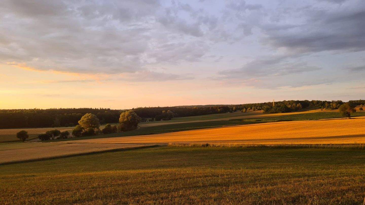 image-70170534