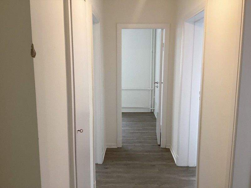 image-70181075