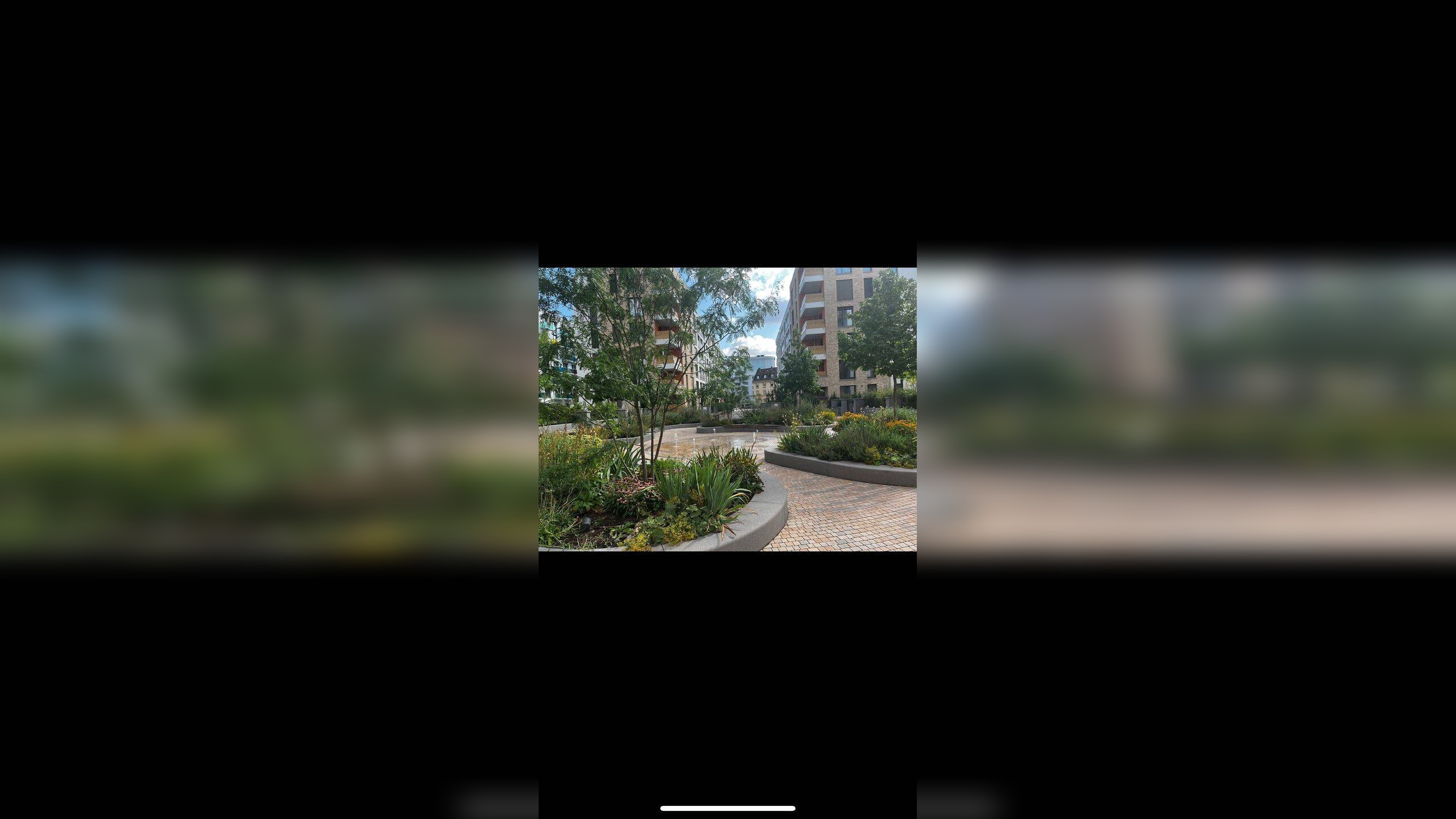 image-70184877