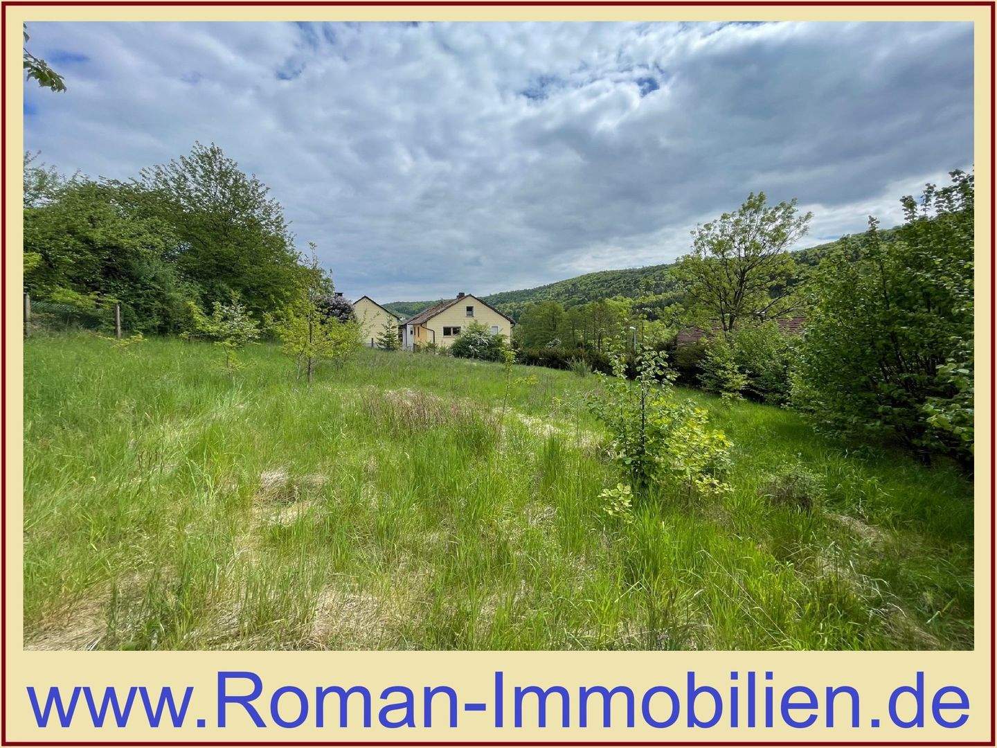 image-70198554