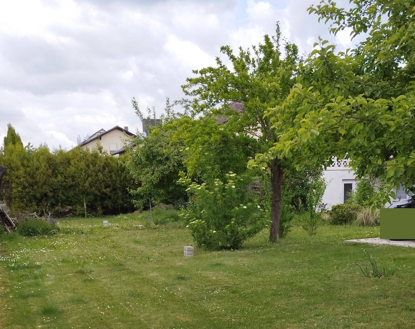 image-70198689