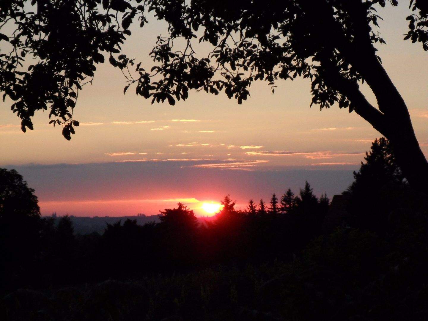 image-70207061