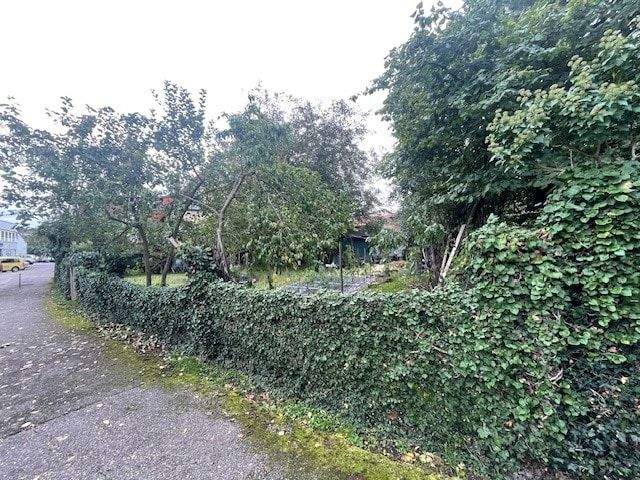 image-70214546