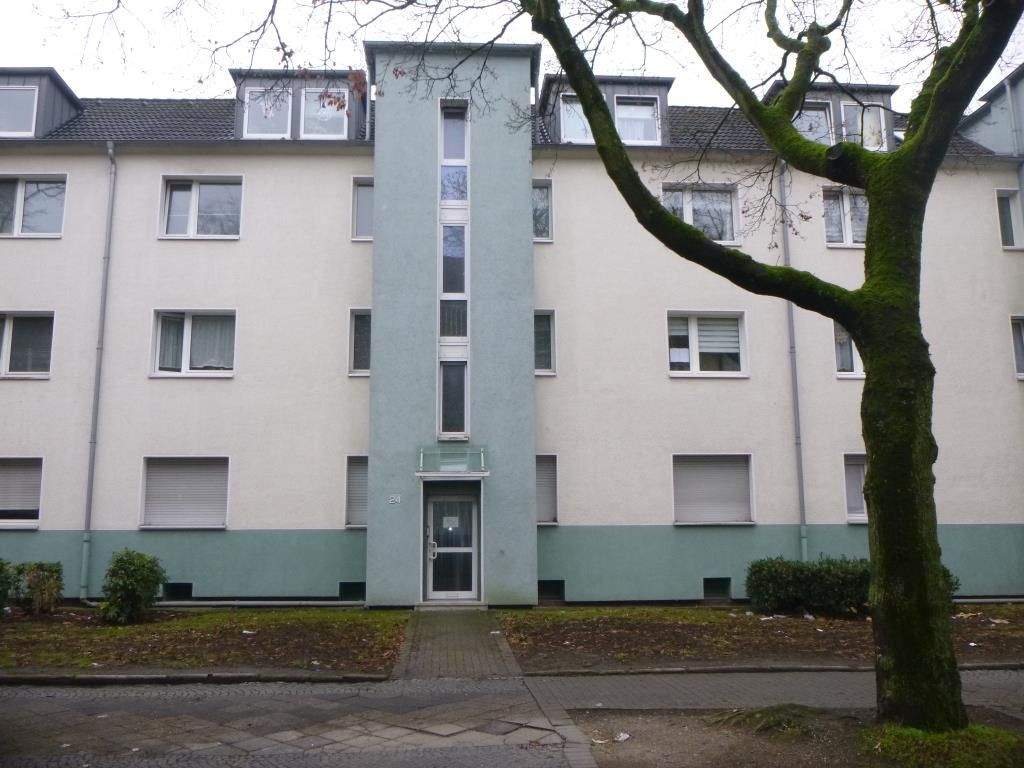 image-70219709
