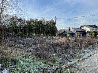 image-70228433