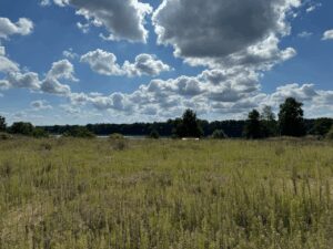 image-70231964