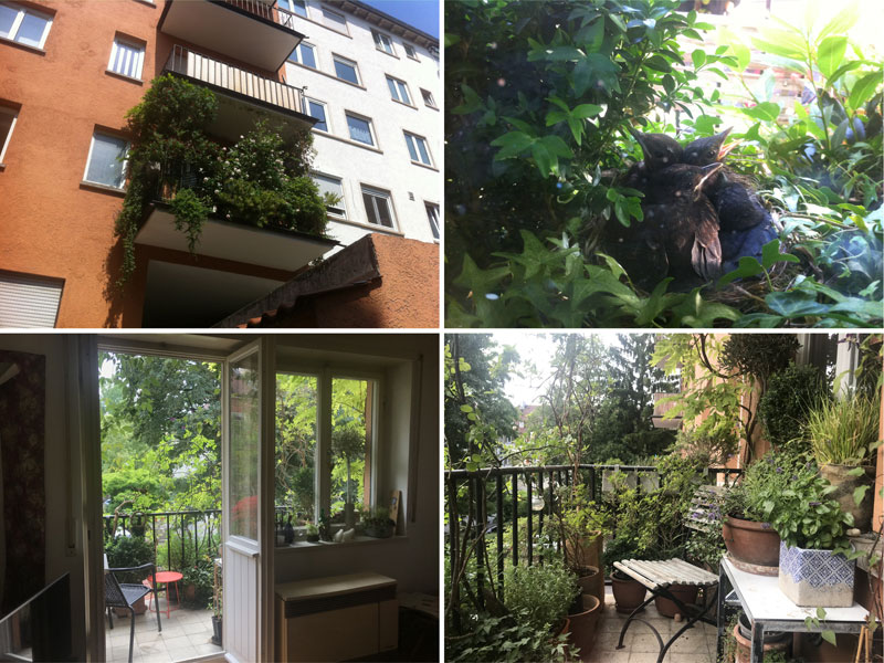 Urlaub auf Balkonien 1 Urlaub auf Balkonien 1