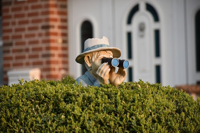 Bild zeigt Figur mit Fernglas auf einer Gartenhecke für Artikel Immobiliennews April 2025 zum Heckenurteil