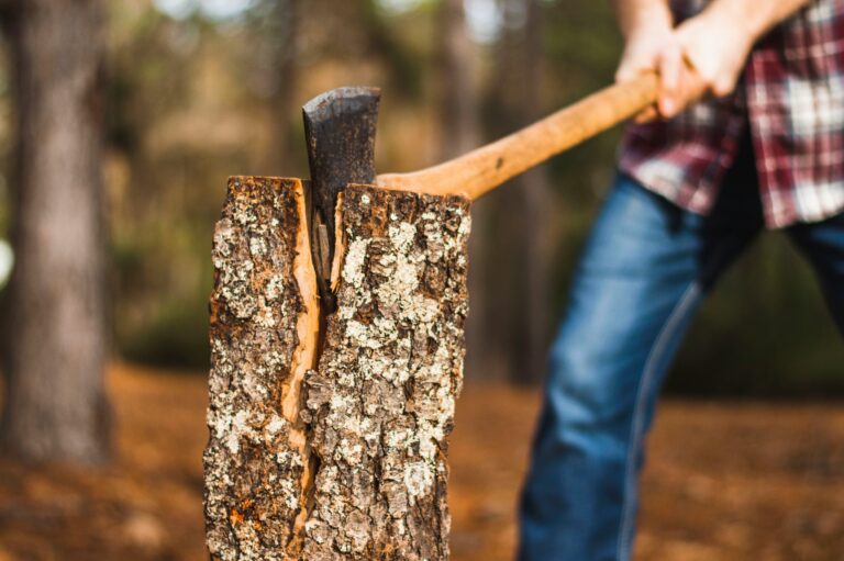 Heizen mit Holz: Wie lange ist es in Oldenburg noch erlaubt? 4