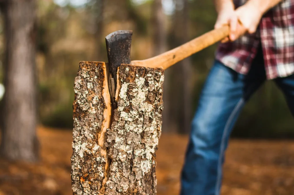 Heizen mit Holz: Wie lange ist es in Oldenburg noch erlaubt? 18