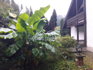 image-58576173