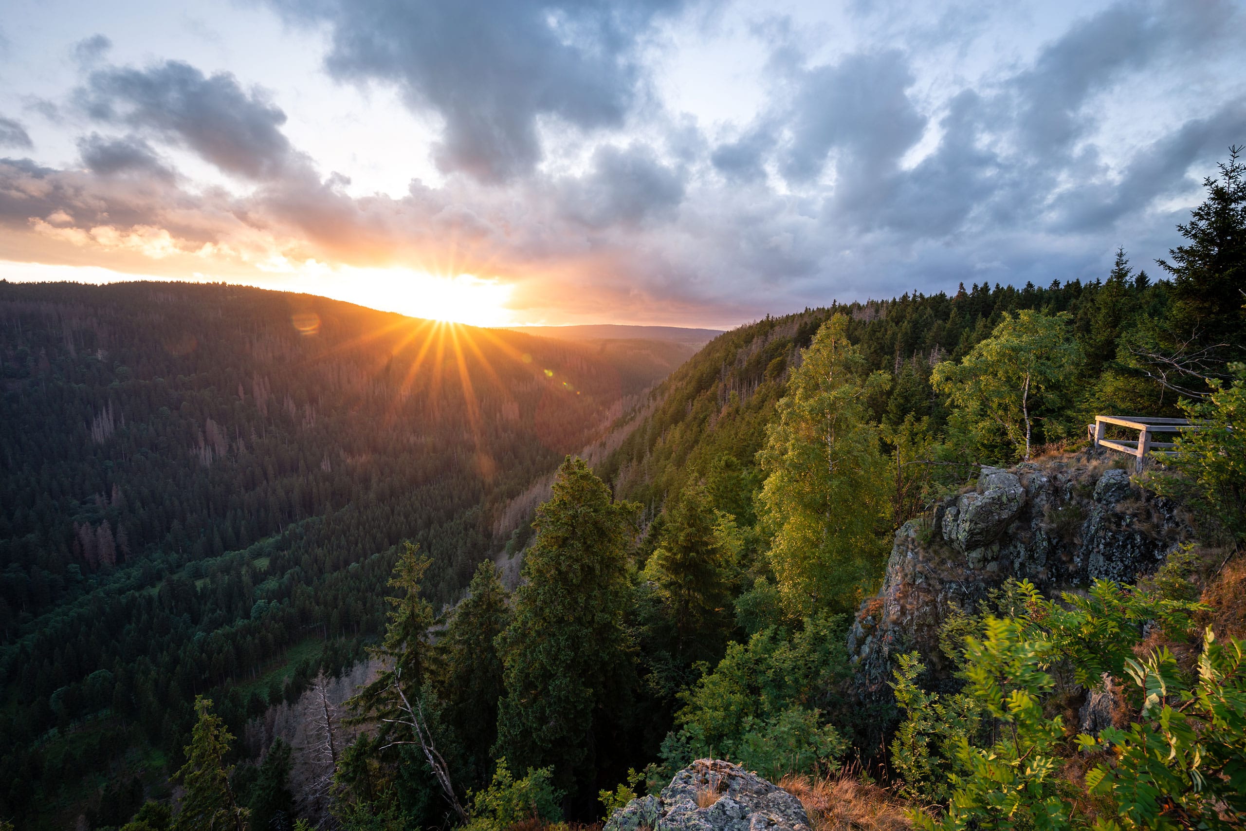 harz