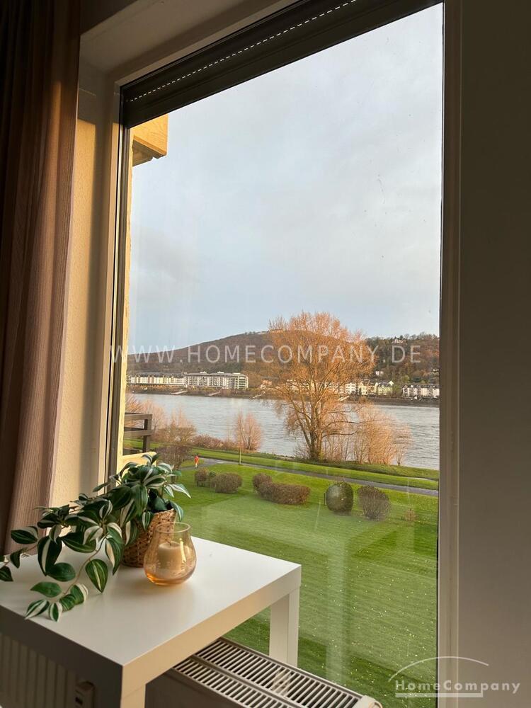 Panorama-Blick am Rhein in Bonn-Mehlem – Rüdigerstraße 1, 53179 Bonn – Vorschaubild 5