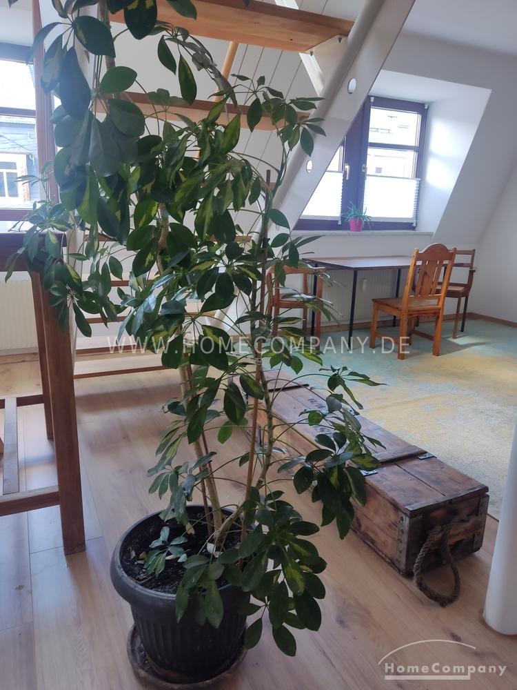 Moderne Maisonettewohnung in Dresden-Neustadt mit großzügiger Küche und Galerie – 1097 Dresden – Vorschaubild 12