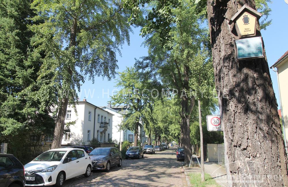 5-Zimmer-Wohnung in Dresden-Neustadt mit Holzdielen und Kamin – Bachstraße 7, 1099 Dresden – Vorschaubild 22