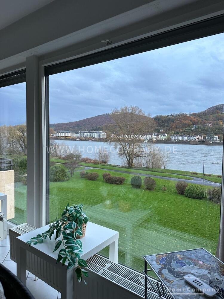 Panorama-Blick am Rhein in Bonn-Mehlem – Rüdigerstraße 1, 53179 Bonn – Vorschaubild 3