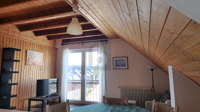 Schwarzwald-Traum Familienhaus mit Bergblick, 79868 Feldberg (Schwarzwald)