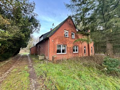 Idyllisches Landhaus mit großer Terrasse und Kamine, 26892 Lehe