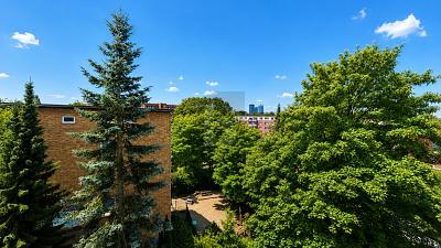 Balkon, Tiefgarage & Wohlfühl-WG in Hamburg – 22089 Hamburg – Vorschaubild 5