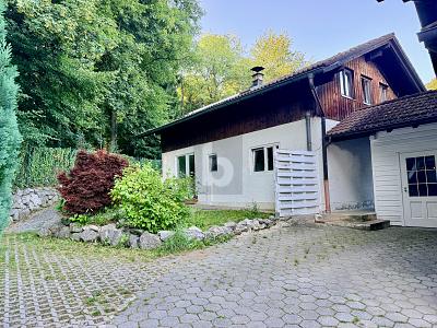 Familienparadies am Waldrand in Iffeldorf, 82393 Iffeldorf