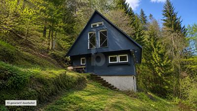 Waldchalet mit Dauerwohnrecht – Einzigartig, 78730 Lauterbach