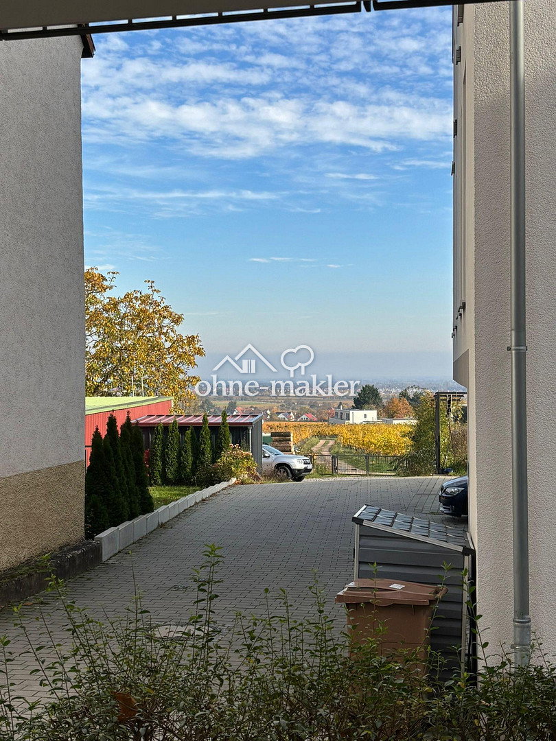 Erdgeschosswohnung mit Terrasse in Neustadt, 67433 Neustadt an der Weinstraße (Haardt Lachen-Speyerdorf Neustadt-Stadt)