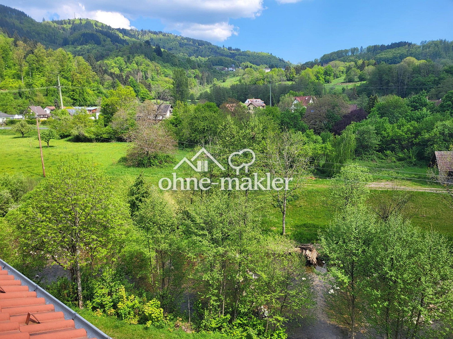Großzügige 3-Zimmer-WGünstige Lage in Hausen im Wiesental, 79688 Hausen im Wiesental