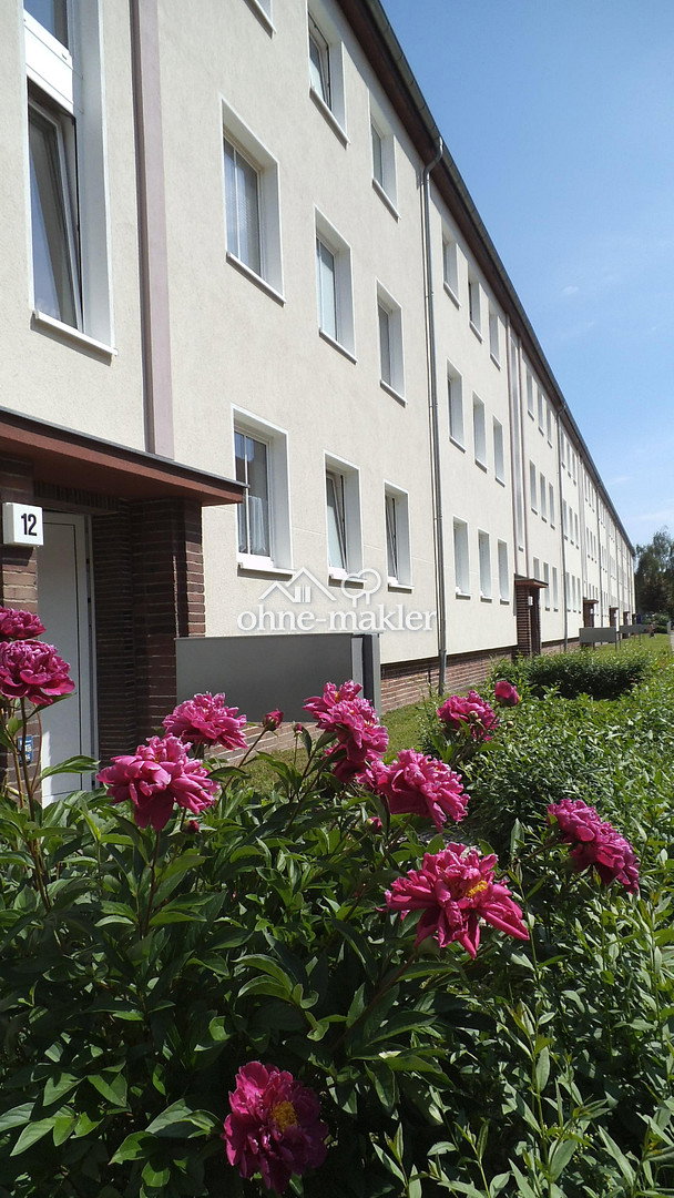 Charmante 2-Zimmer Wohnung in Magdeburg, 39110 Magdeburg (Diesdorf Stadtfeld West)