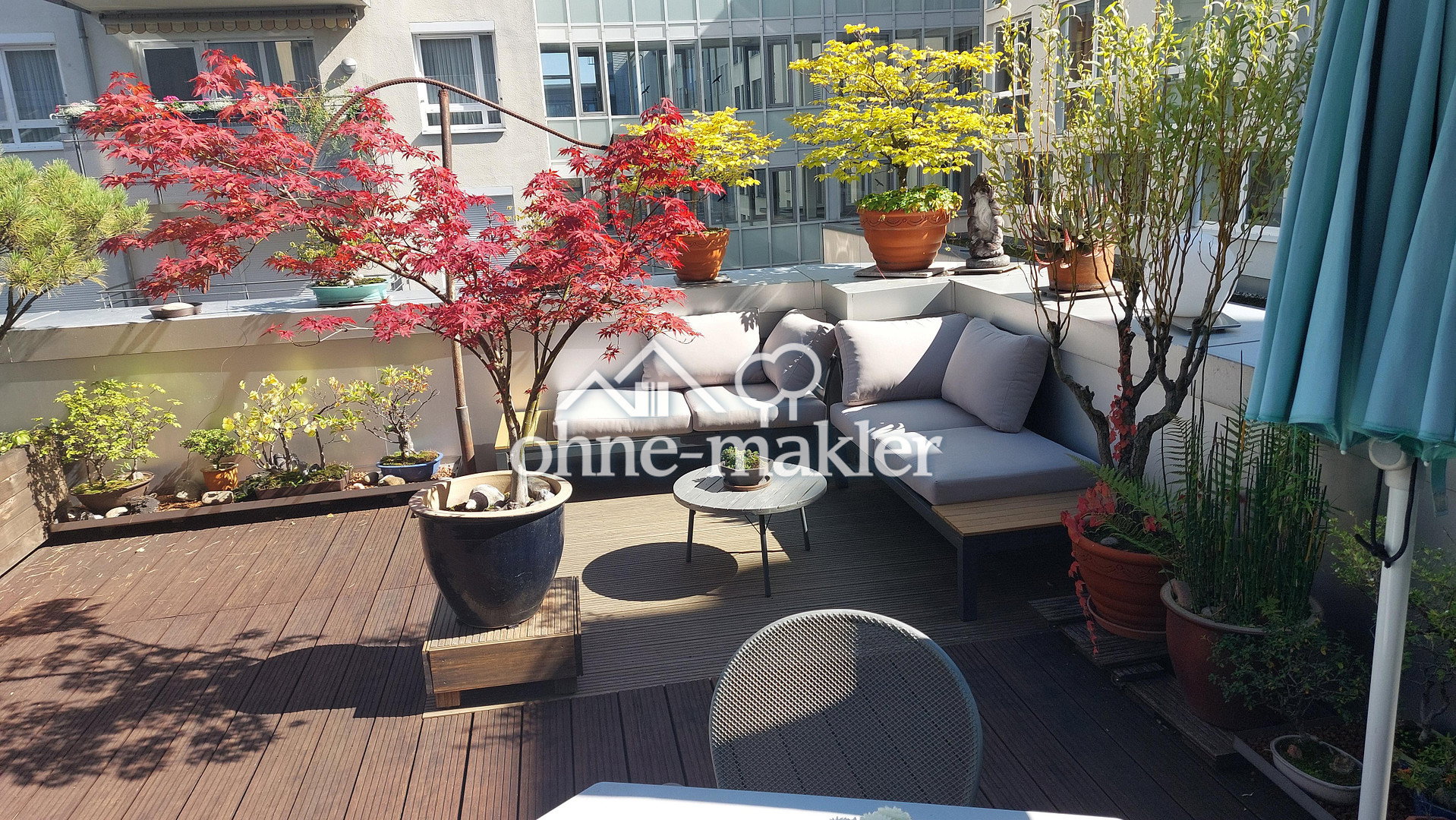 Dachterrasse-Traum in Darmstadts Zentrum, 64283 Darmstadt (Darmstadt)