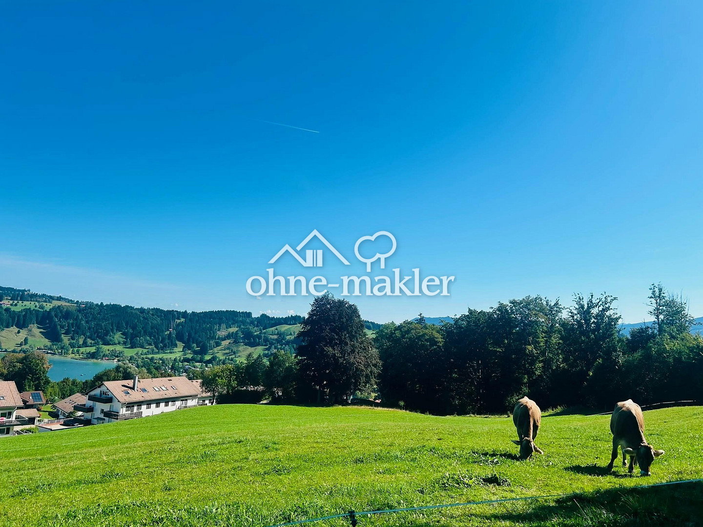 Allgäu Traumlage am Alpsees mit Blick, 87509 Immenstadt i. Allgäu