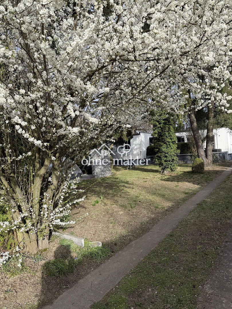 Bungalow mit Pool & Nebengelass in Berlin-Altglienicke, 12524 Berlin (Treptow-Köpenick Altglienicke Kleingartenanlage Falkenbrunn 1)