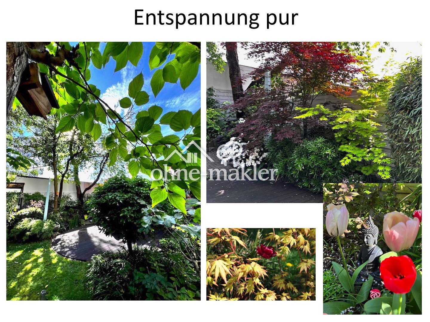 Ruhige Lage, grüner Garten & Südbalkon, 45147 Essen (Frohnhausen Holsterhausen Rüttenscheid)
