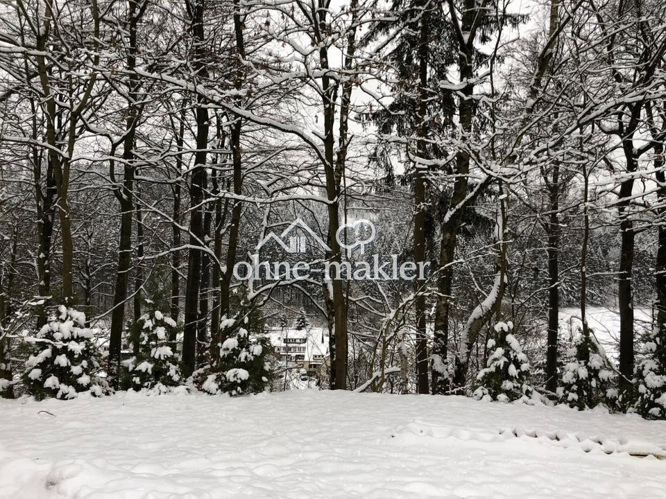 Renditeobjekt im Harz mit Sauna, 37539 Bad Grund (Harz)