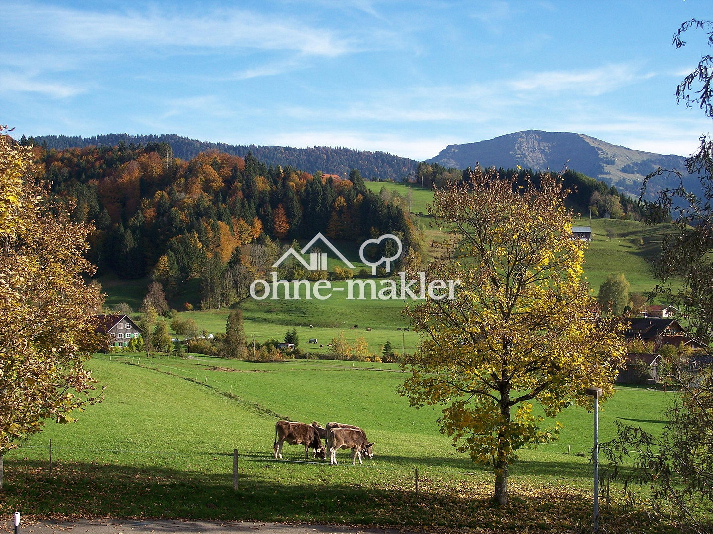 Modernes Haus mit Blick zum Hochgrat, 87534 Oberstaufen