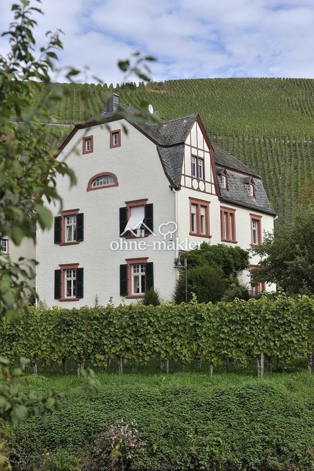 Seltener Genuss Weinberg-Anwesen mit Privatsphäre, 54347 Neumagen-Dhron