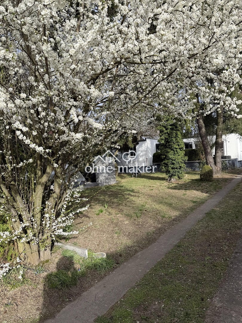 Bungalow mit Pool & Nebengelass in Berlin-Altglienicke, 12524 Berlin (Treptow-Köpenick Altglienicke Kleingartenanlage Falkenbrunn 1)