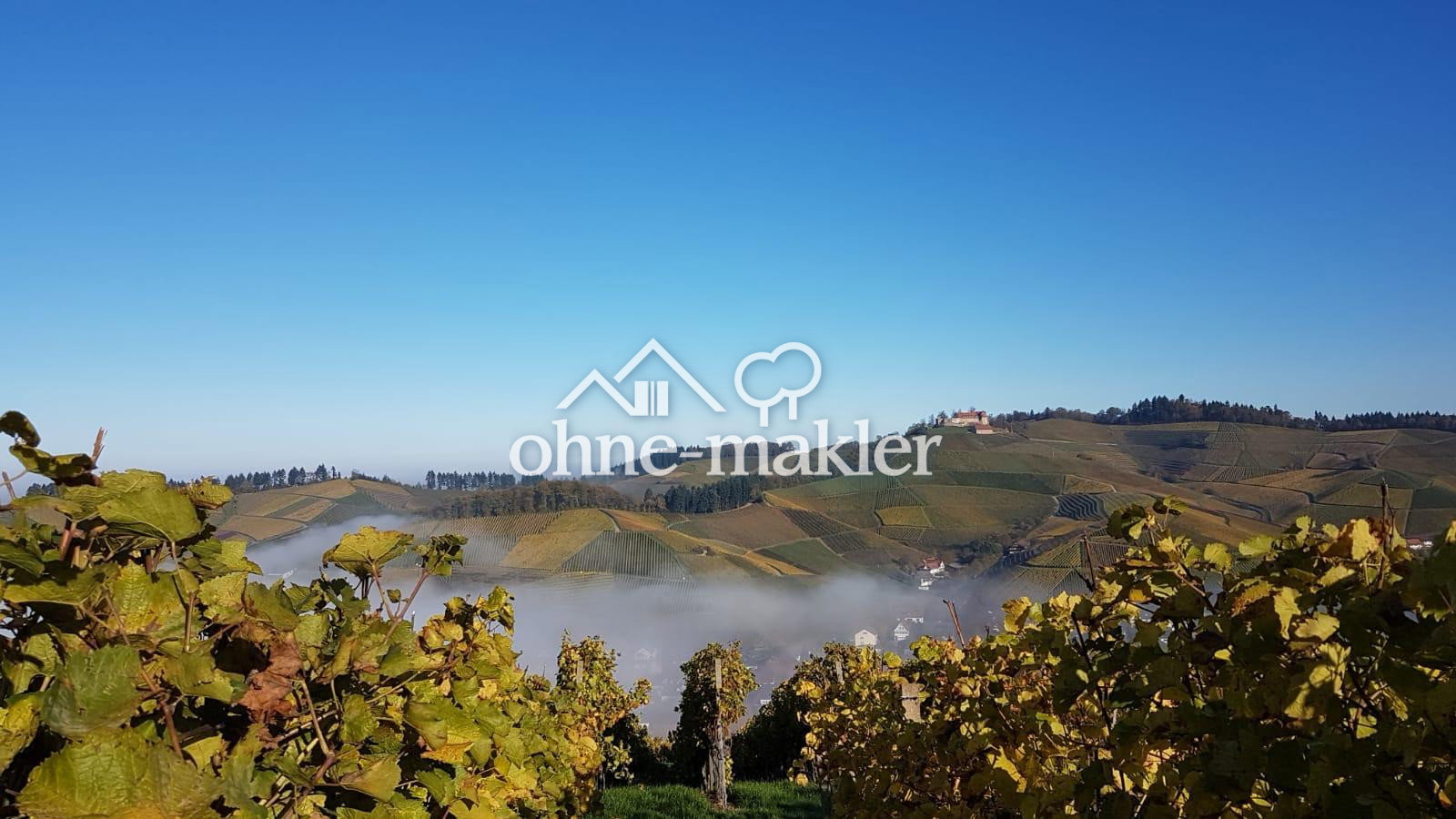 Durbach Traumgrundstück mit Schlossblick, 77770 Durbach