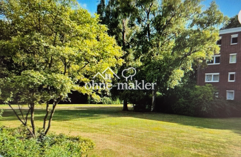 image-72877569