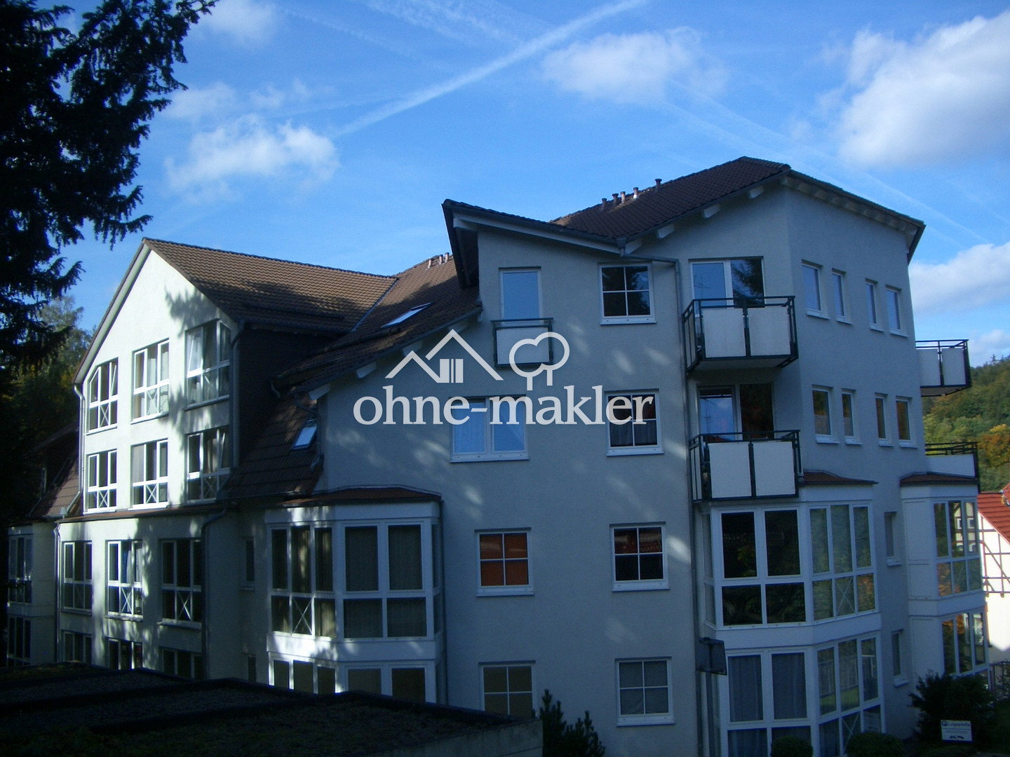 Gemütliche 1-Zimmer-Wohnung mit Garage nahe Kurpark, 37441 Bad Sachsa